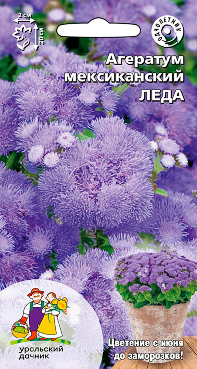 Агератум (долгоцветка) мексиканский ЛЕДА