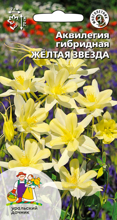 Аквилегия гибридная ЖЁЛТАЯ ЗВЕЗДА
