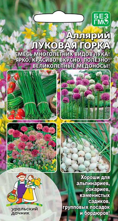 Аллярий ЛУКОВАЯ ГОРКА