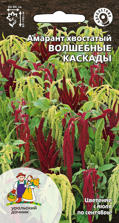 Амарант хвостатый ВОЛШЕБНЫЕ КАСКАДЫ