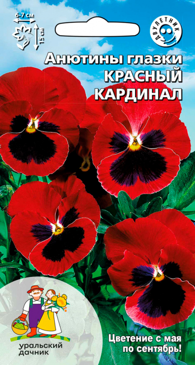 Анютины глазки КРАСНЫЙ КАРДИНАЛ
