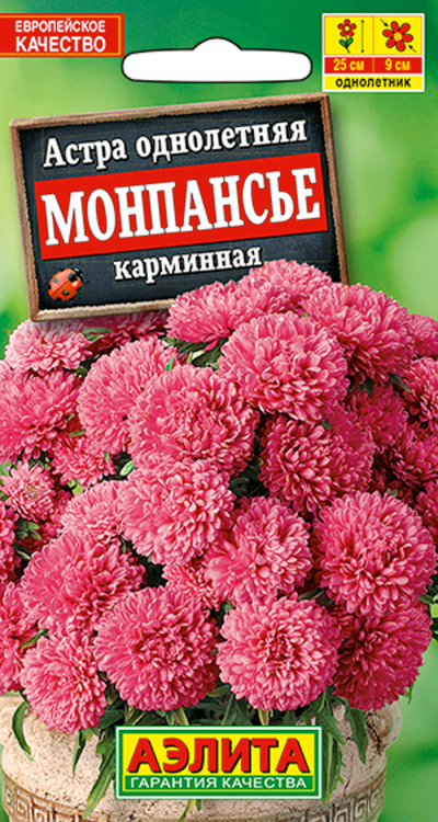 Астра МОНПАНСЬЕ КАРМИННАЯ