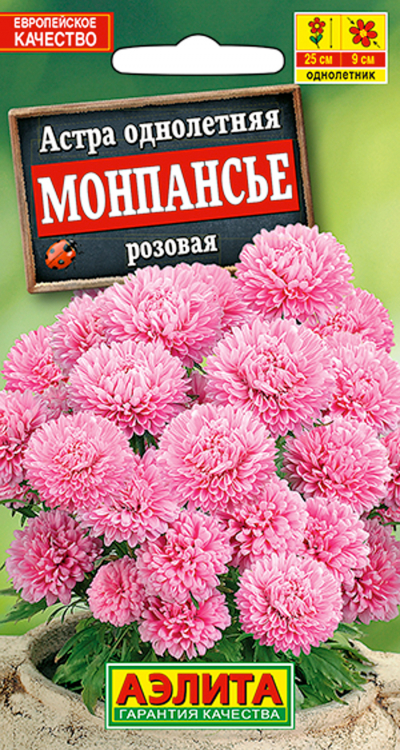 Астра МОНПАНСЬЕ РОЗОВАЯ