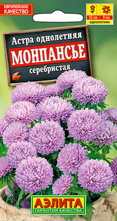 Астра МОНПАНСЬЕ СЕРЕБРИСТАЯ