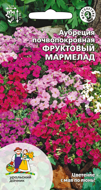 Аубреция почвопокровная ФРУКТОВЫЙ МАРМЕЛАД
