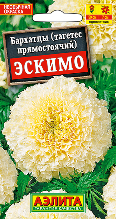 Бархатцы ЭСКИМО прямостоячие