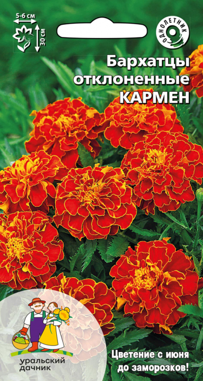 Бархатцы отклоненные КАРМЕН