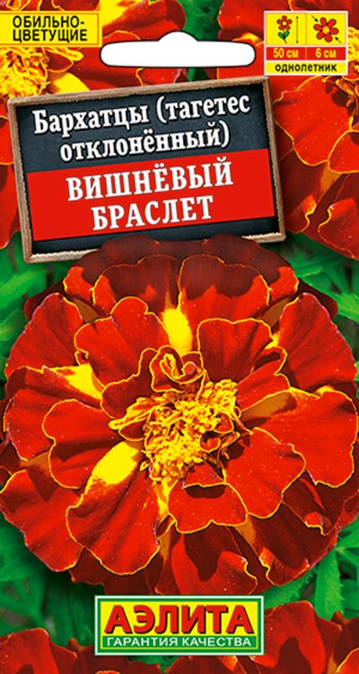 Бархатцы ВИШНЕВЫЙ БРАСЛЕТ