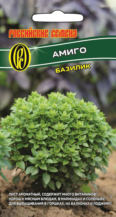 Базилик АМИГО