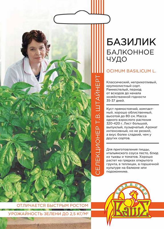 Базилик БАЛКОННОЕ ЧУДО