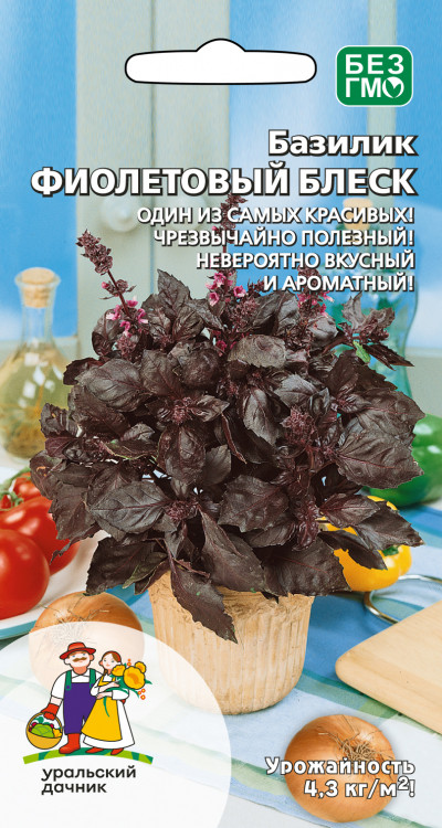 Базилик ФИОЛЕТОВЫЙ БЛЕСК