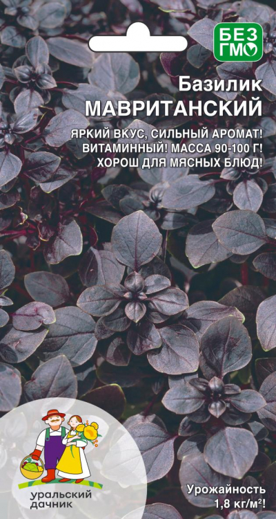 Базилик МАВРИТАНСКИЙ