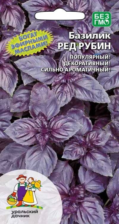 Базилик РЕД РУБИН