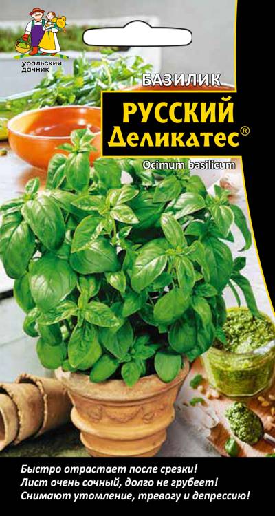 Базилик РУССКИЙ ДЕЛИКАТЕС®