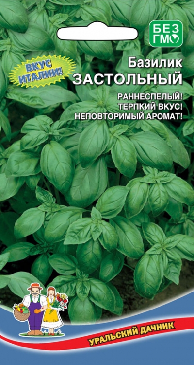 Базилик ЗАСТОЛЬНЫЙ