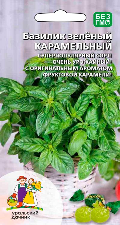 Базилик зелёный КАРАМЕЛЬНЫЙ