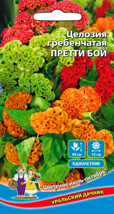 Целозия гребенчатая ПРЕТТИ БОЙ