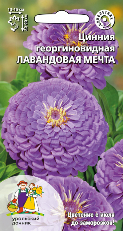 Цинния георгиноцветковая ЛАВАНДОВАЯ МЕЧТА