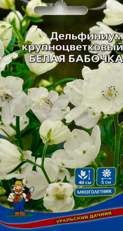 Дельфиниум крупноцветковый БЕЛАЯ БАБОЧКА