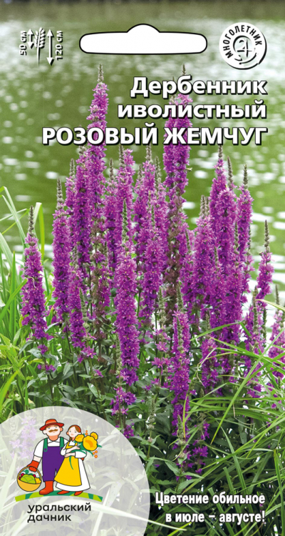 Дербенник иволистный РОЗОВЫЙ ЖЕМЧУГ