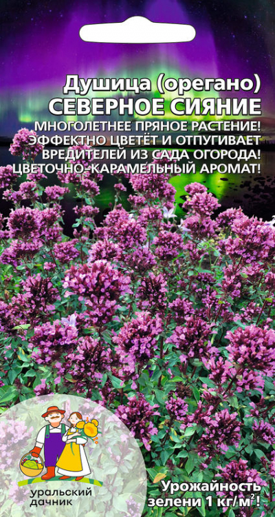 Душица (орегано) СЕВЕРНОЕ СИЯНИЕ