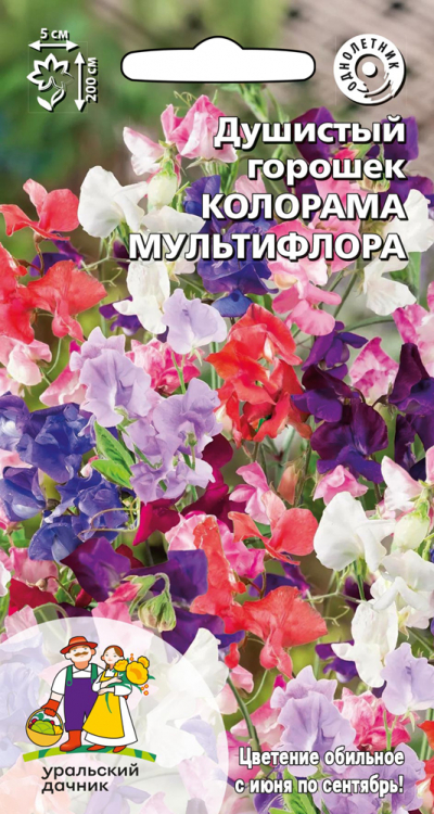 Душистый горошек КОЛОРАМА МУЛЬТИФЛОРА