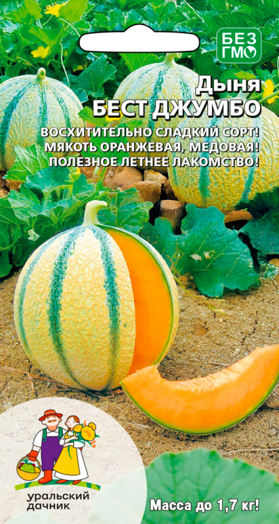 Дыня БЕСТ ДЖУМБО
