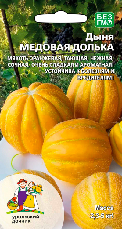 Дыня МЕДОВАЯ ДОЛЬКА