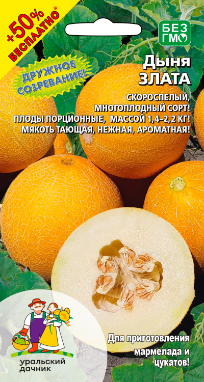 Дыня ЗЛАТА