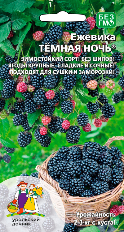 Ежевика ТЁМНАЯ НОЧЬ®