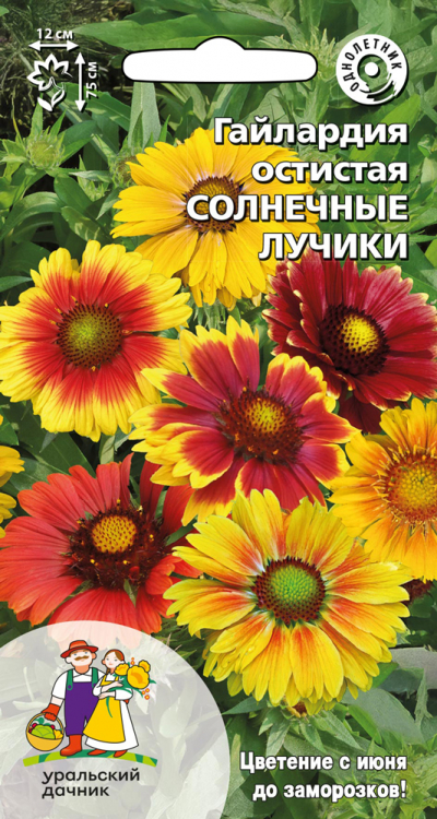 Гайлардия остистая СОЛНЕЧНЫЕ ЛУЧИКИ