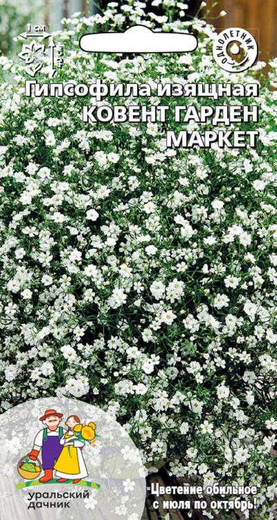 Гипсофила изящная КОВЕНТ ГАРДЕН МАРКЕТ