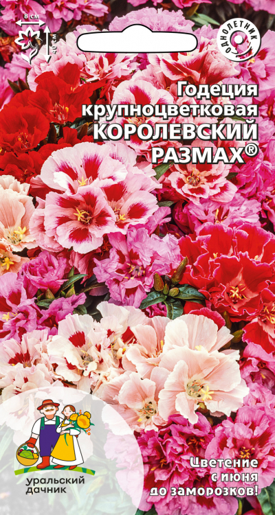 Годеция крупноцветковая КОРОЛЕВСКИЙ РАЗМАХ®