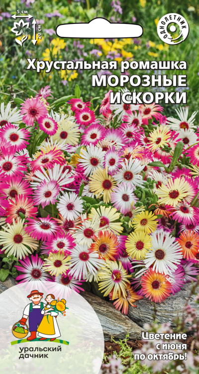 Хрустальная ромашка МОРОЗНЫЕ ИСКОРКИ