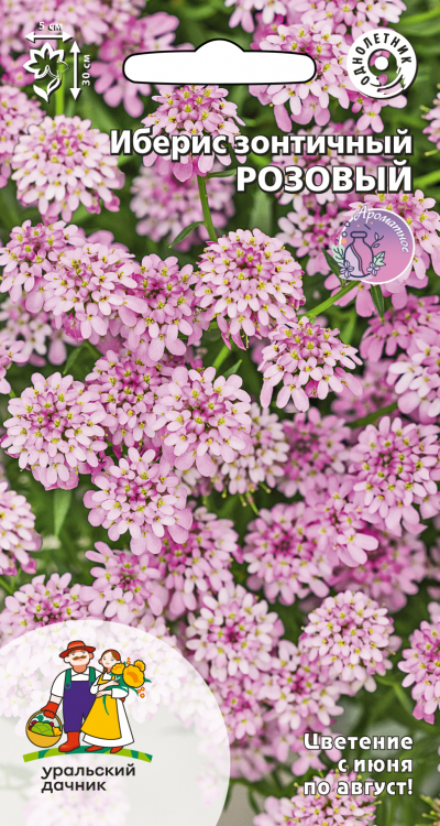 Иберис зонтичный РОЗОВЫЙ