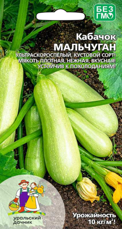 Кабачок МАЛЬЧУГАН