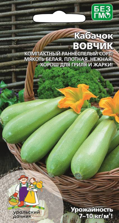 Кабачок ВОВЧИК