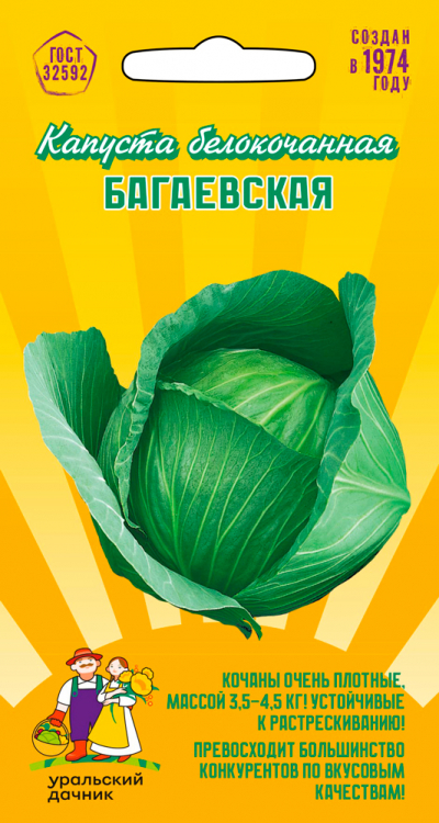 Капуста белокочанная БАГАЕВСКАЯ