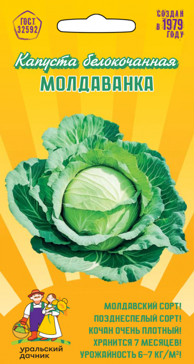 Капуста белокочанная МОЛДАВАНКА (АРТЕМОВКА)