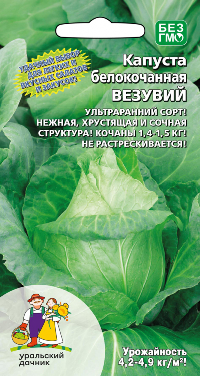 Капуста белокочанная ВЕЗУВИЙ (ГОРЯНКА 5)