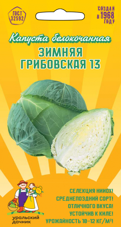 Капуста белокочанная ЗИМНЯЯ ГРИБОВСКАЯ 13 (БАГАЕВСКАЯ)
