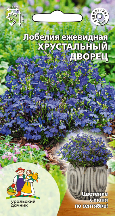 Лобелия ежевидная ХРУСТАЛЬНЫЙ ДВОРЕЦ