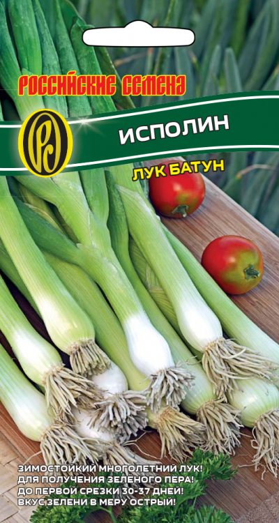 Лук батун ИСПОЛИН