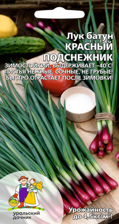 Лук батун КРАСНЫЙ ПОДСНЕЖНИК