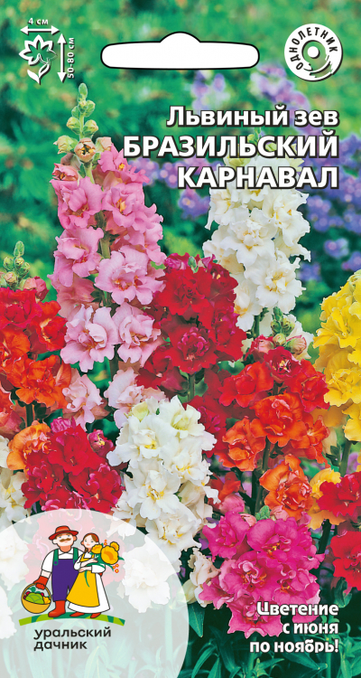 Львиный зев БРАЗИЛЬСКИЙ КАРНАВАЛ