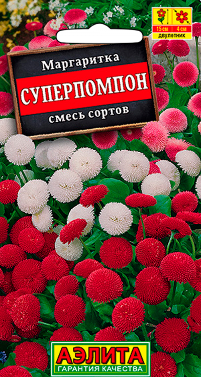 Маргаритка СУПЕРПОМПОН, смесь сортов