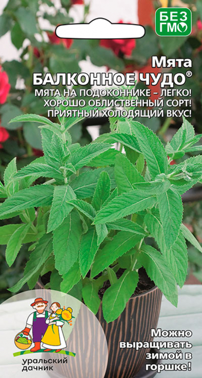 Мята БАЛКОННОЕ ЧУДО®