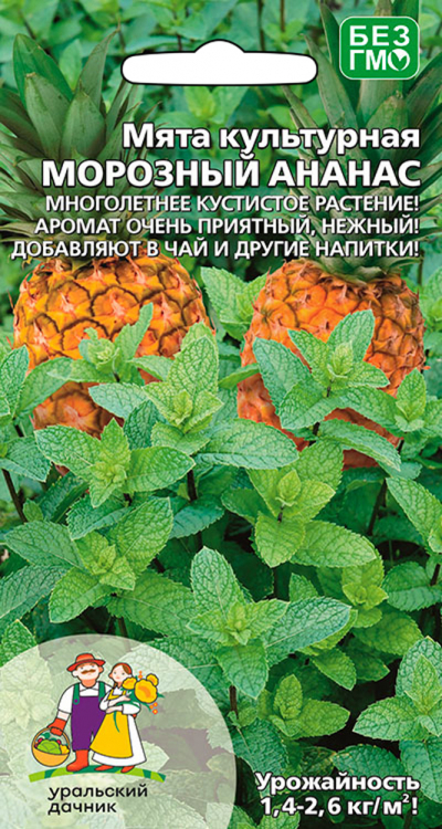 Мята культурная МОРОЗНЫЙ АНАНАС