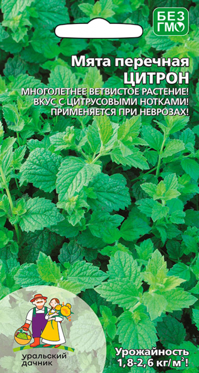 Мята перичная ЦИТРОН