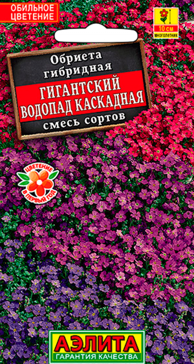 Обриета ГИГАНТСКИЙ ВОДОПАД КАСКАДНАЯ, смесь сортов